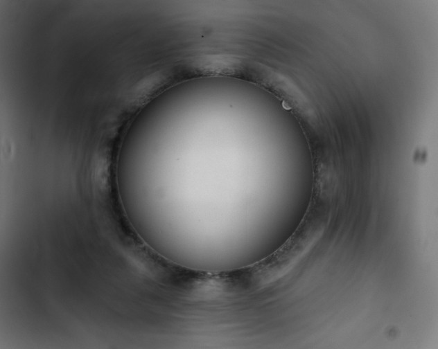 X0000103260259200809051450