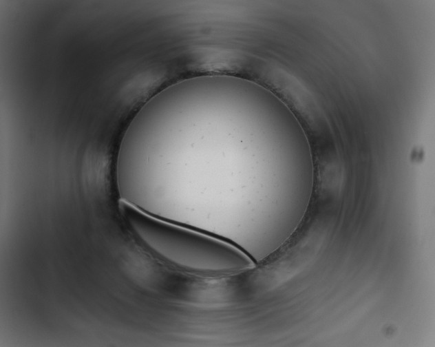 X0000103260260200809051450