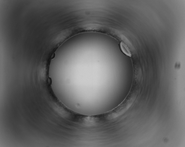 X0000103260261200809051450