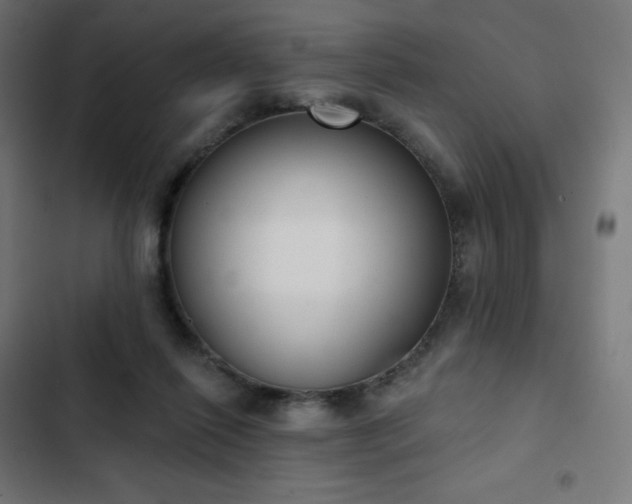 X0000103260262200809051450