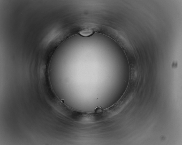 X0000103260263200809051450