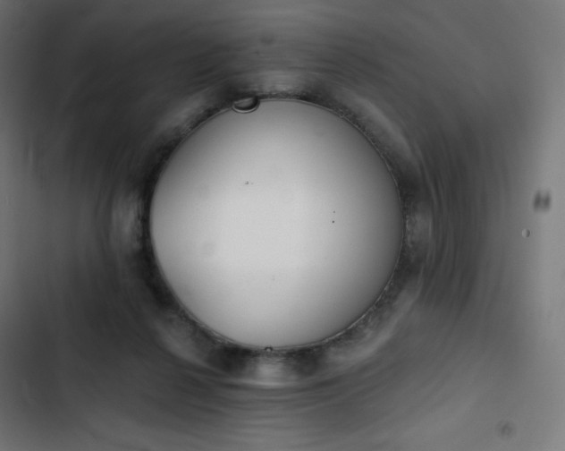 X0000103260264200809051450