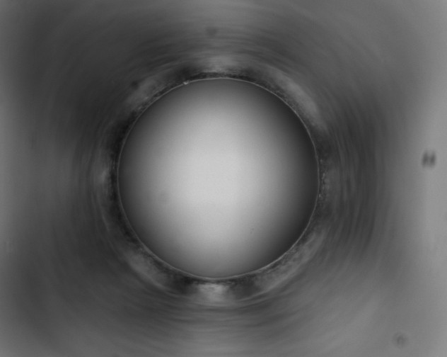 X0000103260265200809051450