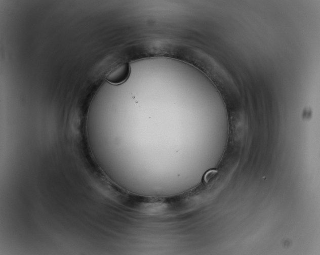 X0000103260266200809051450