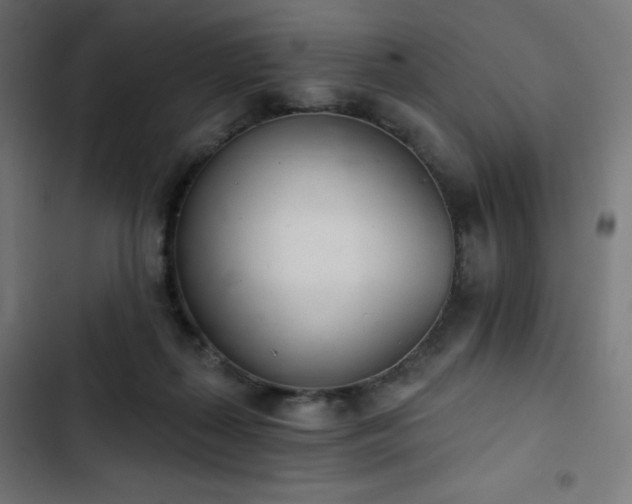 X0000103260267200809051450