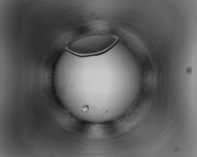 X0000103260268200809051450