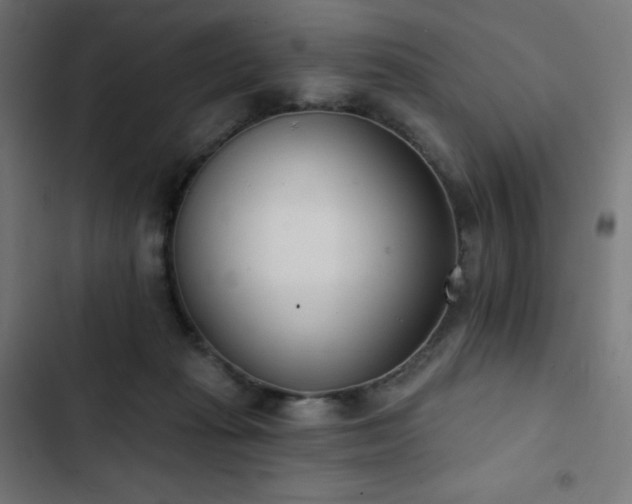 X0000103260269200809051450