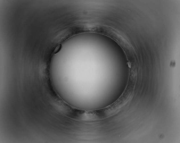 X0000103260270200809051451