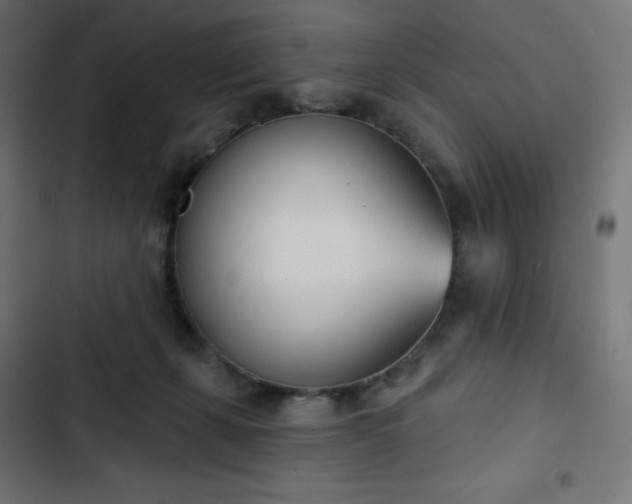 X0000103260271200809051451