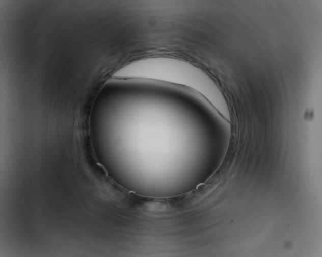 X0000103260272200809051451