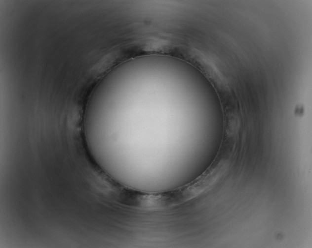 X0000103260273200809051451