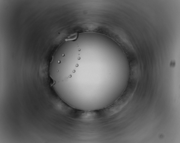 X0000103260274200809051451