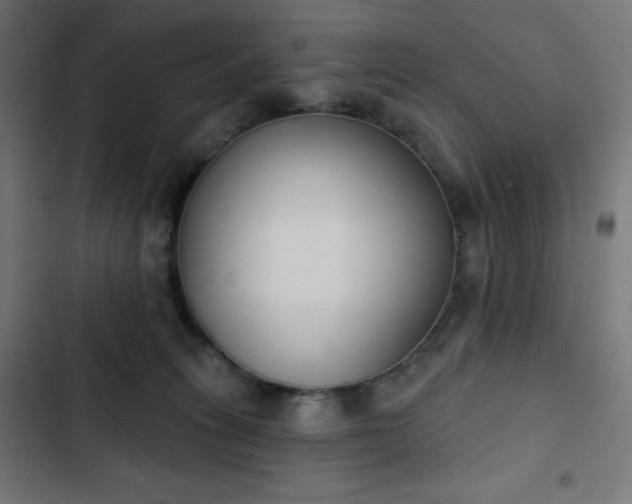 X0000103260275200809051451