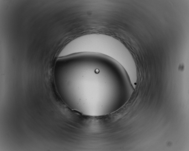 X0000103260276200809051451