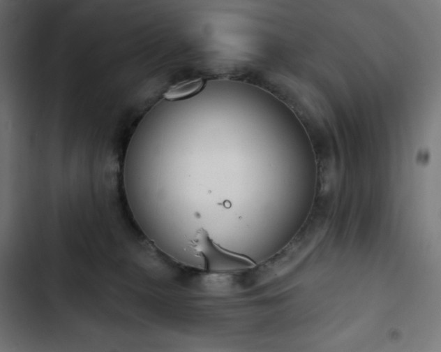 X0000103260279200809051451