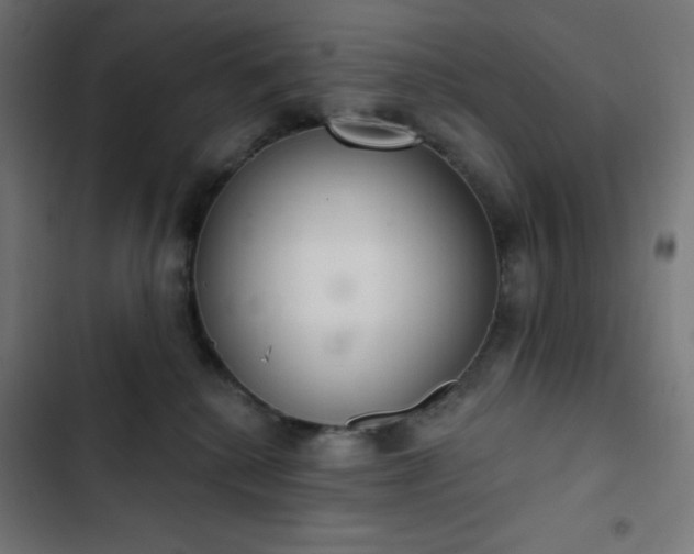 X0000103260280200809051451