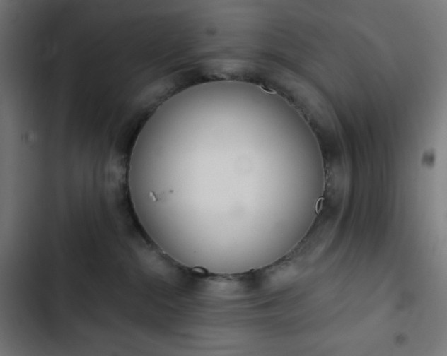 X0000103260284200809051451