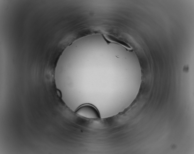 X0000103260285200809051451