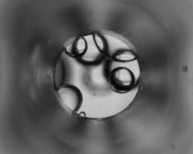 X0000103260286200809051451