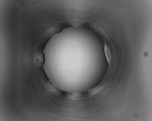 X0000103260288200809051451