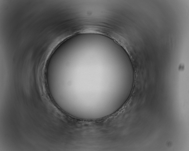 X0000103260289200809051450