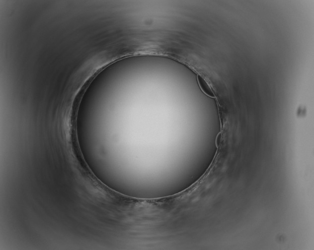 X0000103260290200809051450