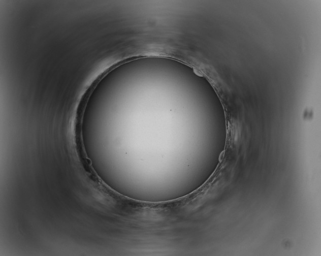 X0000103260292200809051450