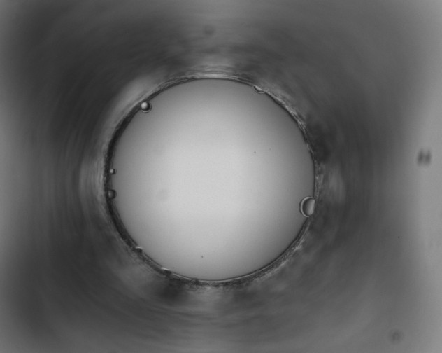 X0000103260293200809051450