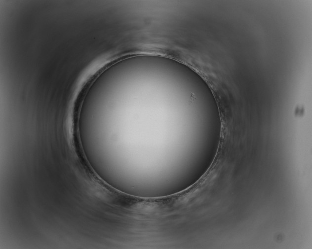 X0000103260294200809051450