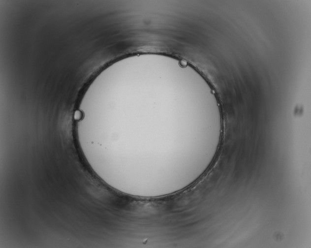 X0000103260297200809051450