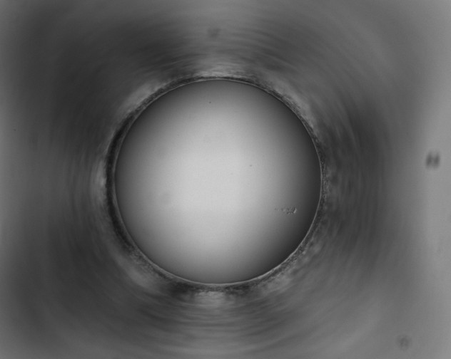 X0000103260298200809051450