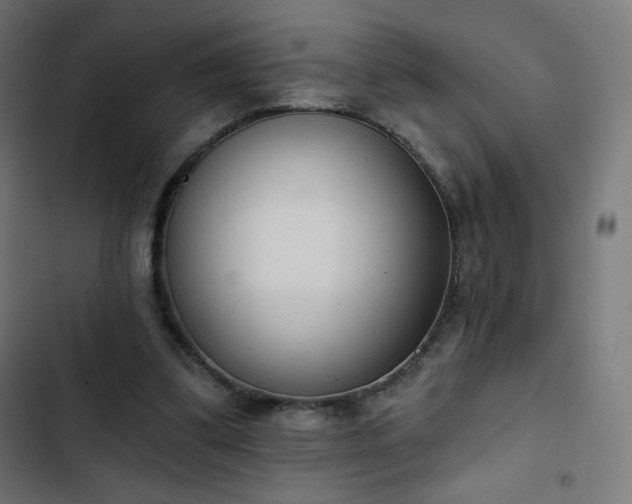 X0000103260299200809051450