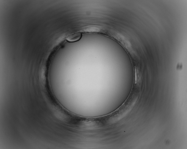 X0000103260300200809051450