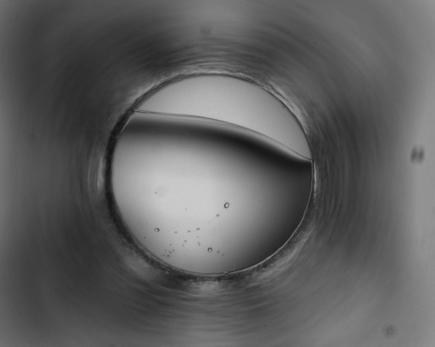 X0000103260301200809051450