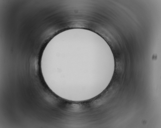 X0000103260302200809051450