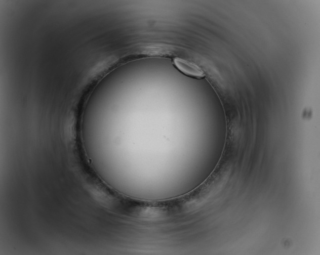 X0000103260303200809051450