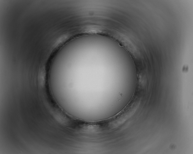 X0000103260304200809051450