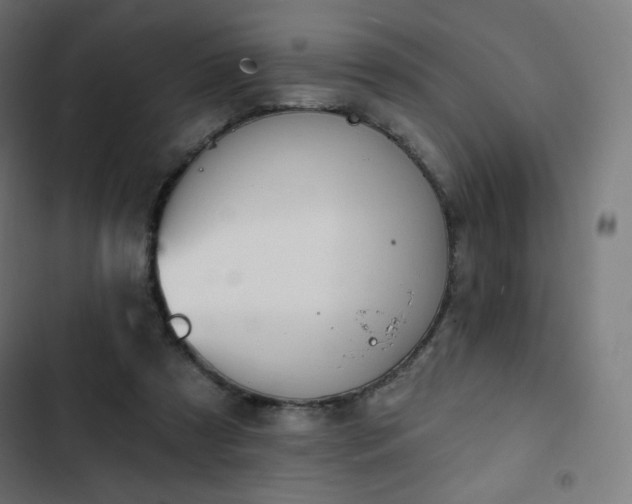 X0000103260305200809051450