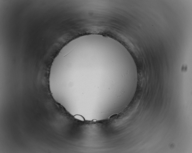 X0000103260307200809051450