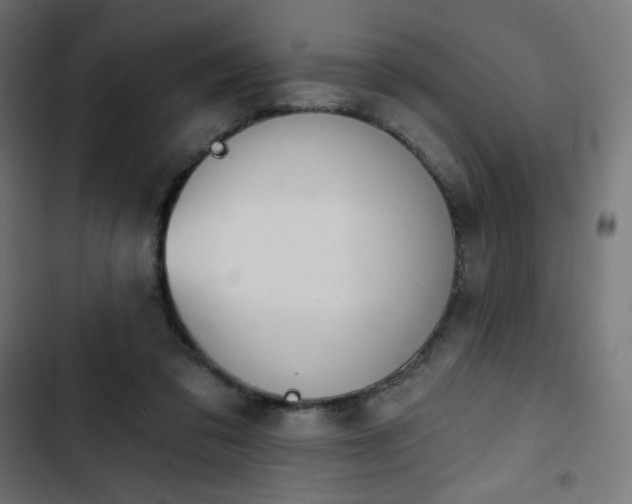 X0000103260309200809051450