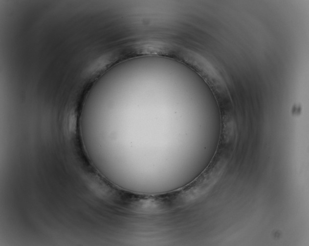 X0000103260310200809051450