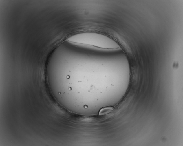 X0000103260313200809051450