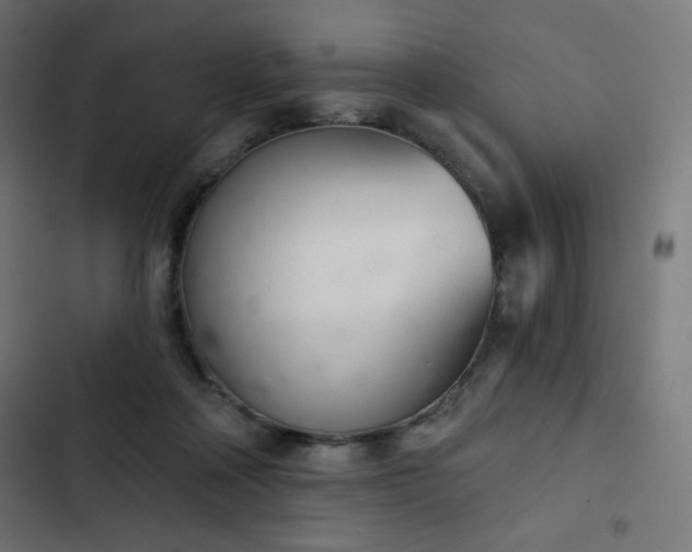 X0000103260314200809051450