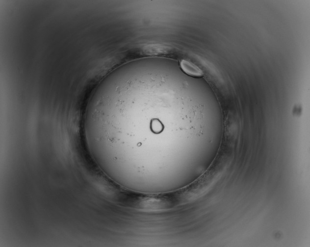 X0000103260315200809051450