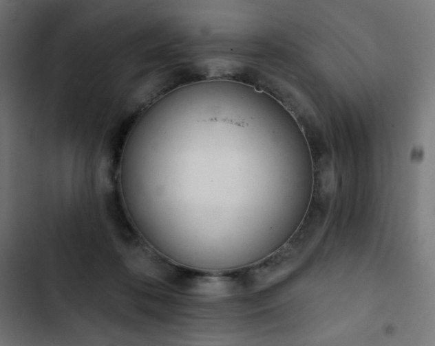 X0000103260316200809051450