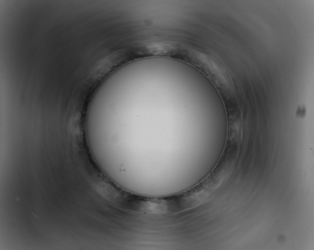 X0000103260317200809051450