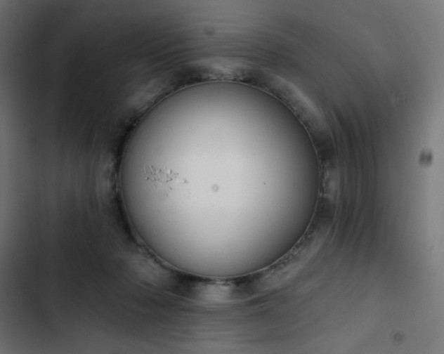 X0000103260318200809051450