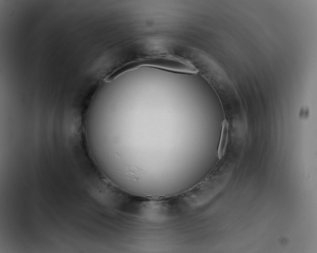 X0000103260320200809051450