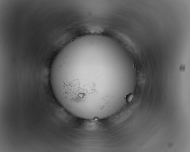 X0000103260321200809051450