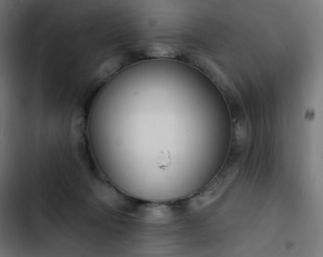 X0000103260322200809051450